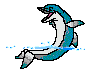 Delphin fischen bilder