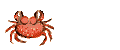 Hummer und krebse fischen bilder