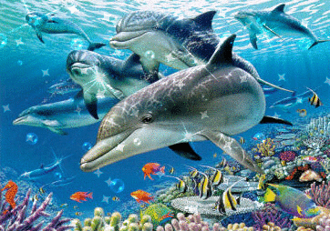 Delfine glitzer bilder