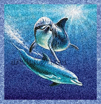 Delfine glitzer bilder