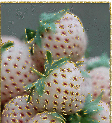Erdbeere glitzer bilder