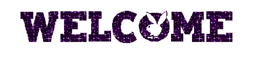 Glitzer text glitzer bilder