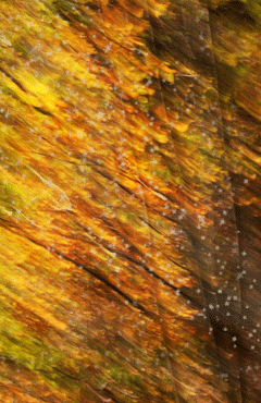 Herbst glitzer bilder