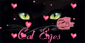 Katzen glitzer bilder