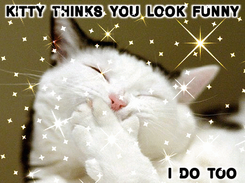 Katzen glitzer bilder