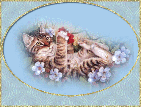Katzen glitzer bilder