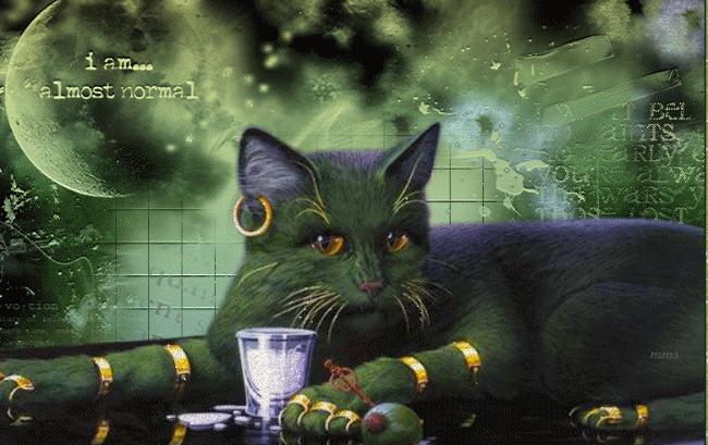 Katzen glitzer bilder