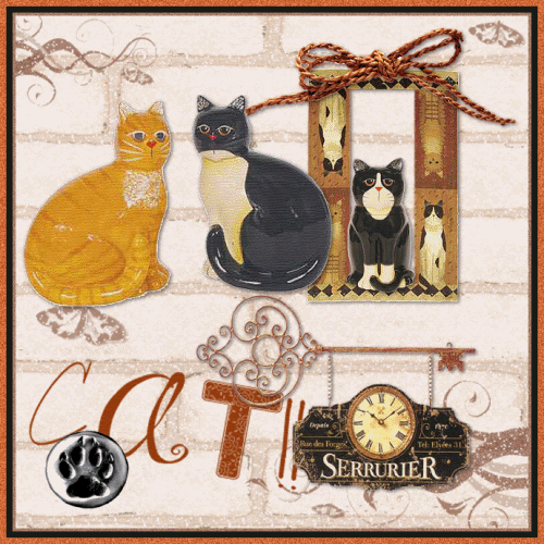 Katzen glitzer bilder