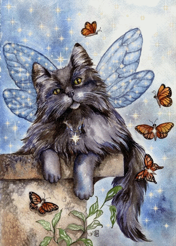Katzen glitzer bilder