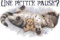 Katzen glitzer bilder