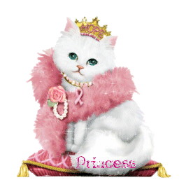 Katzen glitzer bilder