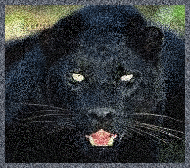 Panther glitzer bilder