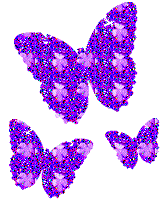 Schmetterlinge glitzer bilder