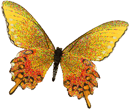 Schmetterlinge glitzer bilder