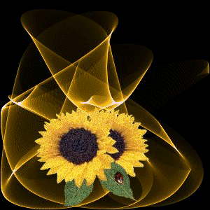Sonnenblume glitzer bilder