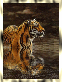 Tigers glitzer bilder