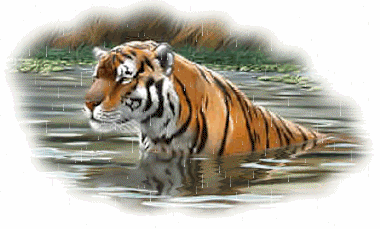 Tigers glitzer bilder