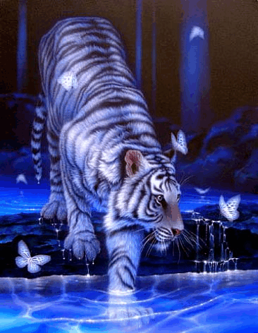 Weisser tiger glitzer bilder