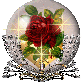 Globus rosen