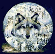 Globus wolfe globen