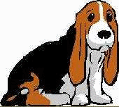 Basset hound hunde bilder