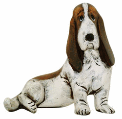 Basset hound