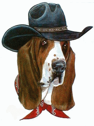 Basset hound