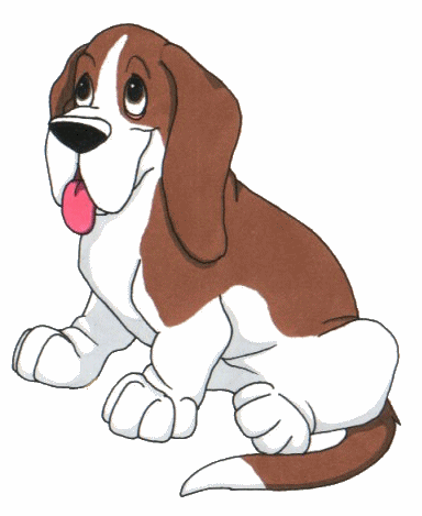 Basset hound hunde bilder