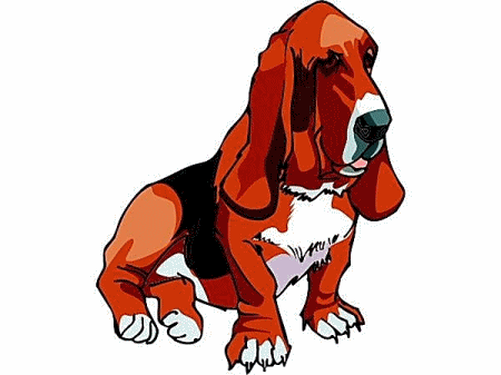 Basset hound hunde bilder