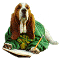 Basset hound hunde bilder