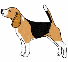 Beagles hunde bilder