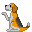 Beagles hunde bilder