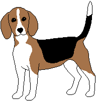Beagles hunde bilder