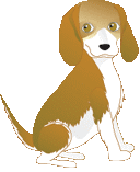 Beagles hunde bilder