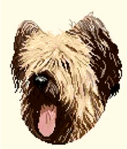 Briard hunde bilder