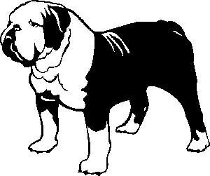 Bulldogge