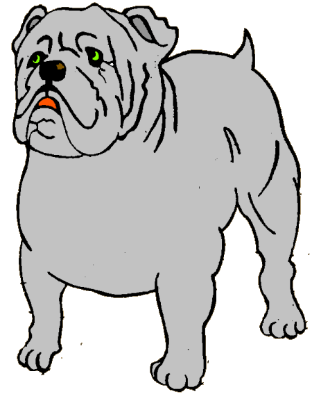 Bulldogge hunde bilder