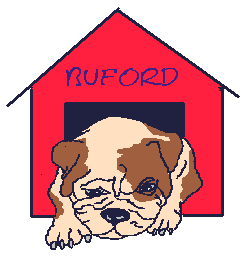 Bulldogge hunde bilder