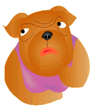 Bulldogge hunde bilder