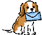 Cavalier hunde bilder