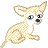 Chihuahua hunde bilder