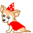 Chihuahua hunde bilder