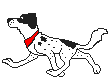 Dalmatiner hunde bilder