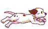 Dalmatiner hunde bilder