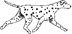 Dalmatiner hunde bilder