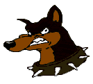 Dobermann hunde bilder