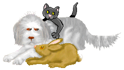 Hund und katze