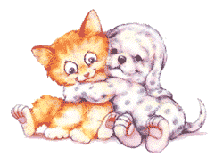 Hund und katze hunde bilder