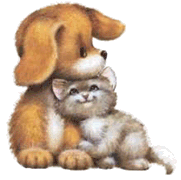 Hund und katze hunde bilder