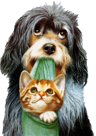 Hund und katze